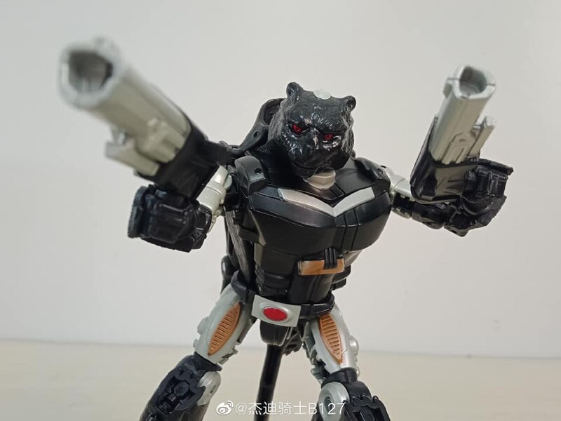 MORE Transformers Agent Ravage Images Cheetor Compared  (10 of 67)